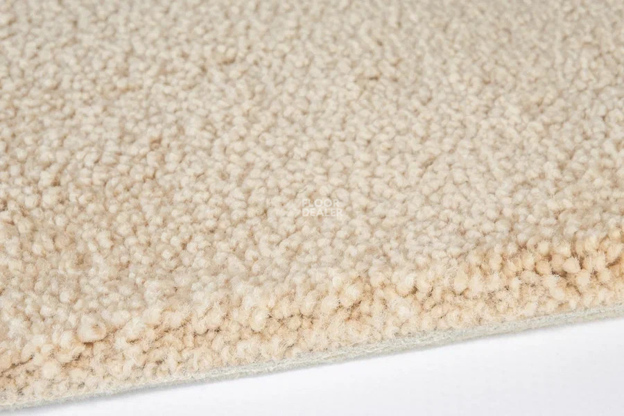 Vorwerk Superior 1067 Mira Vorwerk 8k09 фото 4 | FLOORDEALER